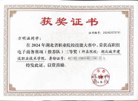2024年电商省赛推荐队三等奖